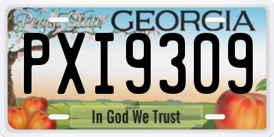 GA license plate PXI9309