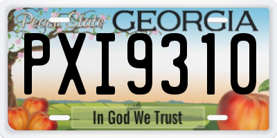 GA license plate PXI9310