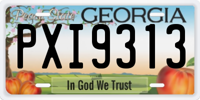GA license plate PXI9313