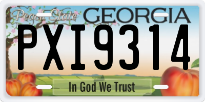 GA license plate PXI9314