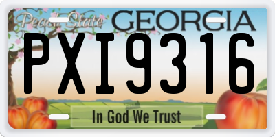 GA license plate PXI9316