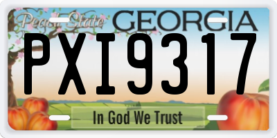 GA license plate PXI9317