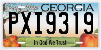 GA license plate PXI9319