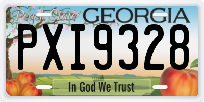 GA license plate PXI9328