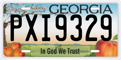 GA license plate PXI9329