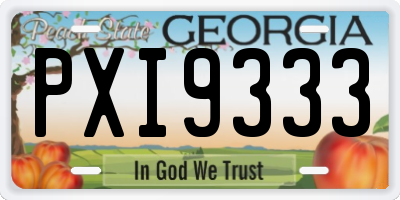 GA license plate PXI9333