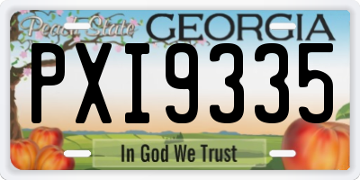 GA license plate PXI9335