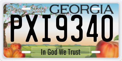 GA license plate PXI9340