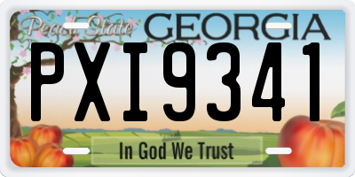 GA license plate PXI9341