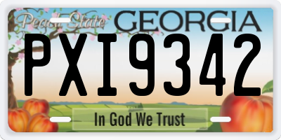 GA license plate PXI9342