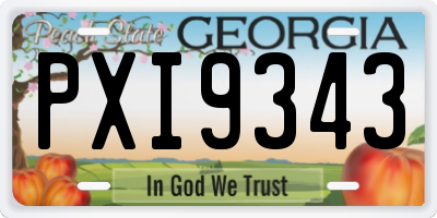 GA license plate PXI9343