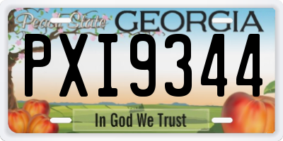 GA license plate PXI9344