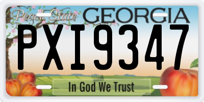 GA license plate PXI9347