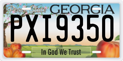 GA license plate PXI9350