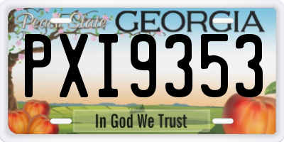 GA license plate PXI9353
