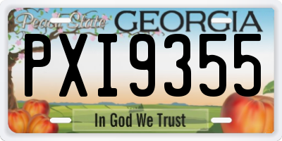 GA license plate PXI9355
