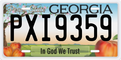 GA license plate PXI9359