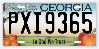 GA license plate PXI9365