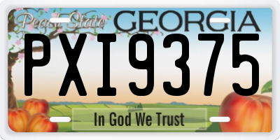 GA license plate PXI9375