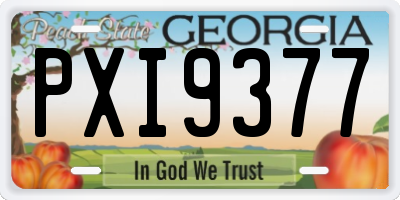 GA license plate PXI9377