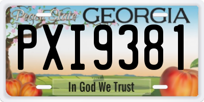 GA license plate PXI9381