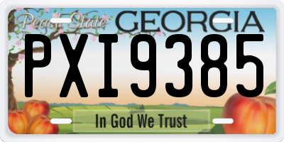 GA license plate PXI9385
