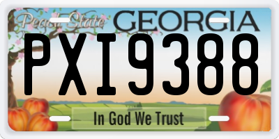 GA license plate PXI9388