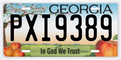 GA license plate PXI9389