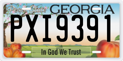 GA license plate PXI9391
