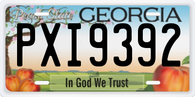 GA license plate PXI9392