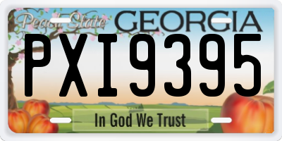 GA license plate PXI9395