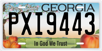GA license plate PXI9443