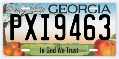 GA license plate PXI9463