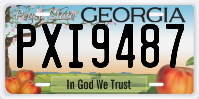 GA license plate PXI9487