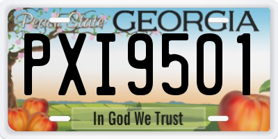 GA license plate PXI9501