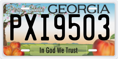 GA license plate PXI9503