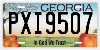 GA license plate PXI9507