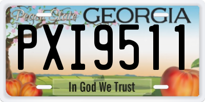 GA license plate PXI9511