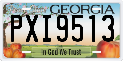 GA license plate PXI9513