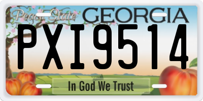 GA license plate PXI9514