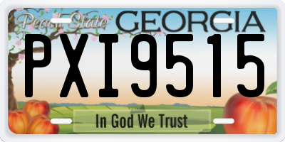 GA license plate PXI9515
