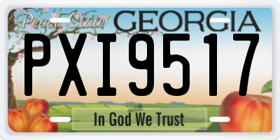GA license plate PXI9517