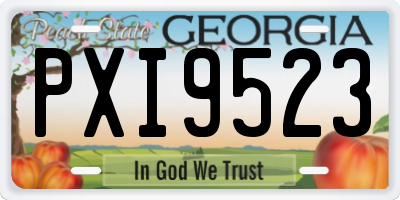 GA license plate PXI9523