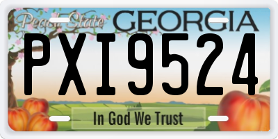 GA license plate PXI9524
