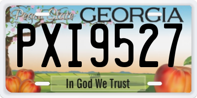 GA license plate PXI9527