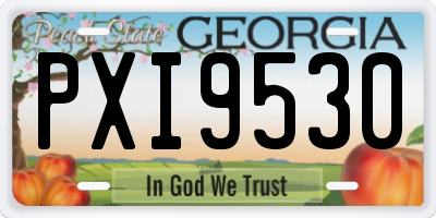 GA license plate PXI9530