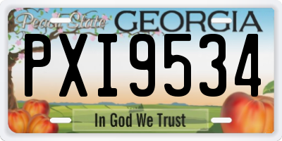 GA license plate PXI9534