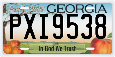 GA license plate PXI9538