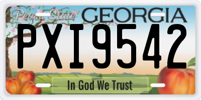 GA license plate PXI9542