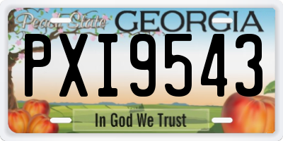 GA license plate PXI9543